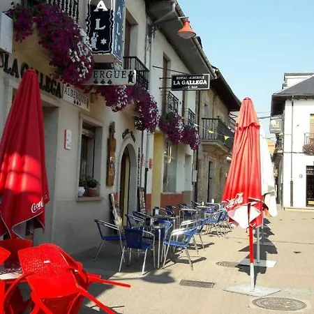 La Gallega Cacabelos (Leon)